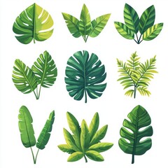 Piante e Vegetazione Tropicale-Plants,flowers and Trees-Exotic Vectors