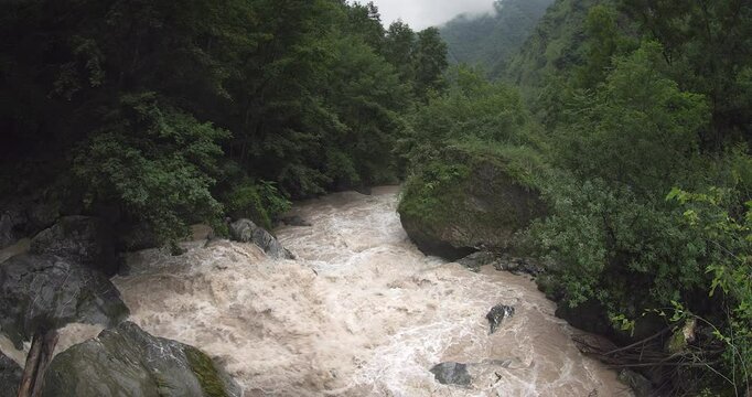 A rushing river in the mountains, surrounded by a coniferous forest