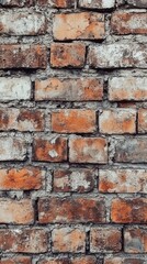 Fototapeta premium A detailed brick wall texture