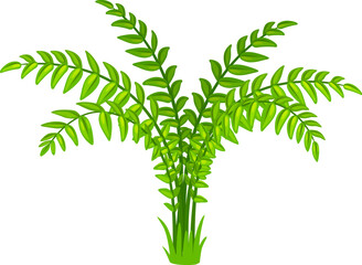 Vibrant, green fern plant with long, arching fronds and numerous leaflets. Cartoon vector natural element of jungle flora and prehistoric environment landscape. Isolated tropical vegetation game asset