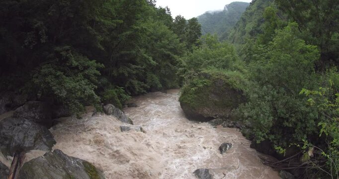 A rushing river in the mountains, surrounded by a coniferous forest