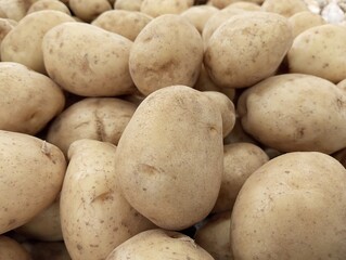 Raw potato food. Abstract shapes, patterns and textures of piles of potatoes. Potatoes look clean and fresh. For graphic design or banner background. Harvest potatoes.