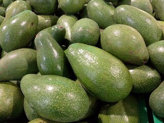 A pile of fresh avocados with smooth, deep green skin and a hint of natural texture.