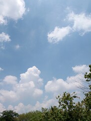 Blue sky and White cloud nature background. Green tree top line over blue sky.
