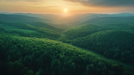 Obraz premium Green rolling hills with forest at sunset