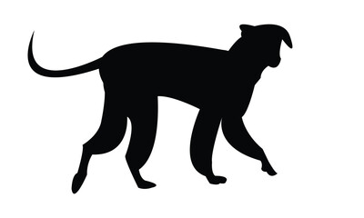 Dog Black silhouette And Vector Design. 
