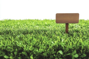 Wooden Sign on Lush Green Grass Background