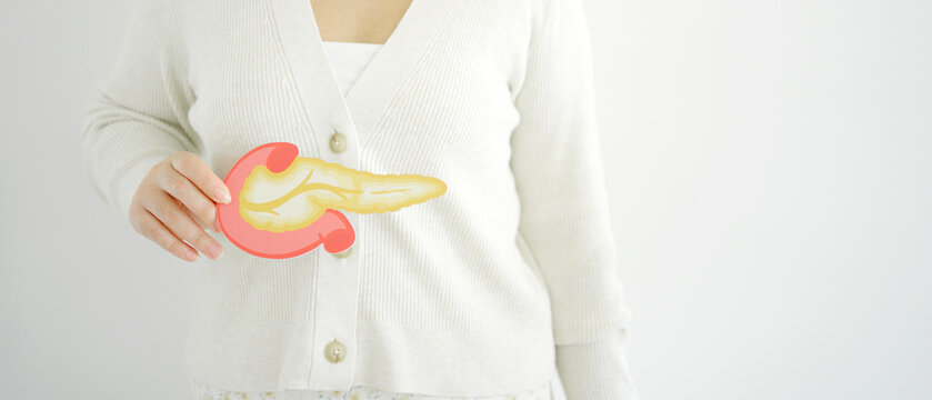 Woman hands holding pancreas, pancreatitis and pancreatic cancer concept