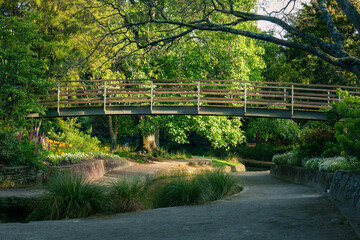 bridge in the park
