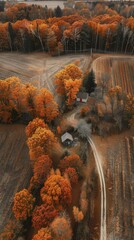 Aerial View of Tranquil Tree Farm in Autumn with Warm Colors and Serene Landscape