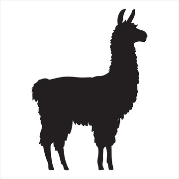 recommend clip art: Rough illustration of a Llama silhouette with a river view