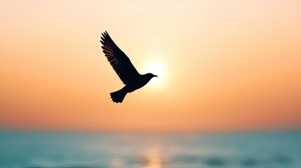 Fototapeta premium Bird flying against a vibrant sunset, silhouetted against the horizon.