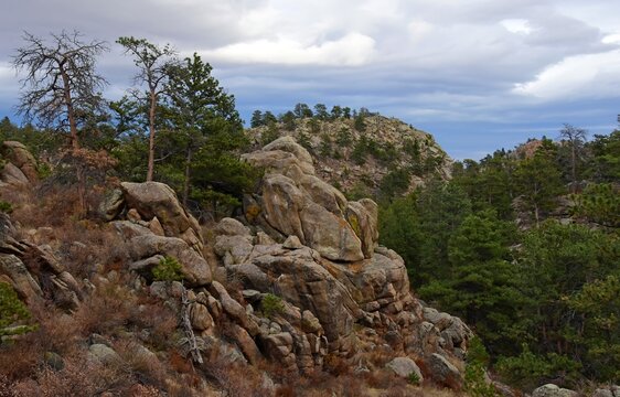 
striking granite rock formations and an evergreen forest,  hiking in curt gowdy state park, southern wyoming, on a cloudy winter day