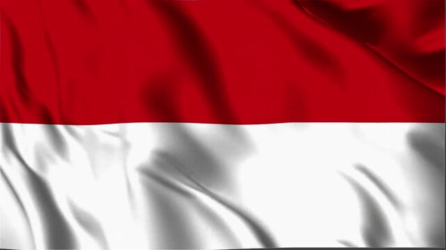 Monaco waving flag, Monaco 3D flag, Flag of Monaco waving Animation, Monaco waving flag 4K Footage