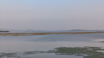 view of the river in the fog