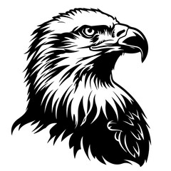 Fototapeta premium Eagle Vector Logo