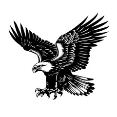Obraz premium Eagle Attacking Vector Logo