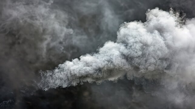 Sulfur Dioxide Emissions (SO2): This gas is mainly produced from burning fossil fuels at power plants, contributing to acid rain and harming ecosystems and health.
