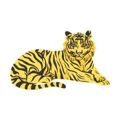 tiger on white background