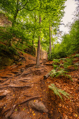 Hiking to Maria or Mariina skala wooden viewpoint built on a rock. It offers a beautiful view of the town of Jetrichovice in Bohemian Switzerland
