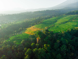 Fototapeta premium Aerial drone view of terraced paddy field scenery with Mount Rinjani background in Senaru, Lombok, Indonesia, Lombok, Indonesia.