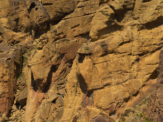 A rocky cliff with a green plant growing on it