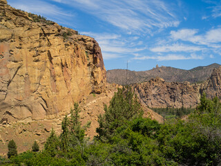 A mountain range with a rocky cliff and a forest
