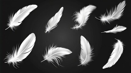 Obraz premium Modern illustration featuring soft white feathers of angels, geese, swans, and doves.