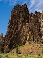 A mountain with a rocky peak and a green tree in the foreground