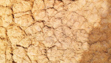 The ground has cracks in the top view for the background