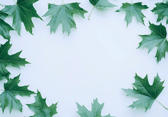 Naklejka premium Green maple leaves frame the white background with copy space for text, a flat lay top view.