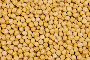 Chickpea or Garbanzo Bean, Also Known as Bengal Gram or Egyptian Pea.