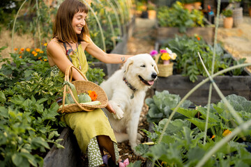 Smiling woman holds a freshly harvested zucchini while sitting with her dog in an eco-friendly...