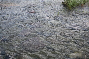 Gentle wave image of the clear water of Daecheongcheon