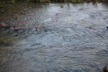 Gentle wave image of the clear water of Daecheongcheon