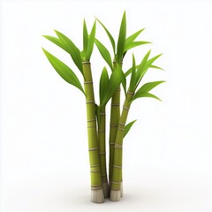 Fototapeta premium Cane tree farmland agriculture nature environment white background