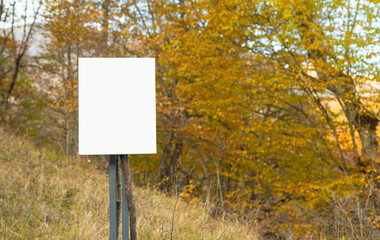 Blank signboard in the forest at autumn time.
