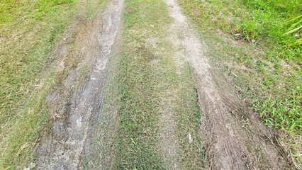 A winding dirt road through lush green grass evokes a sense of adventure and exploration. The worn...