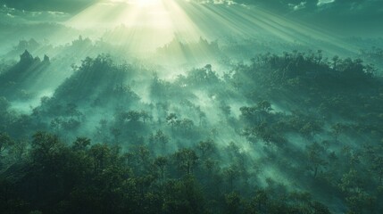 Obraz premium Misty Rainforest Landscape with Sun Rays