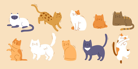 Fototapeta na wymiar Cute different home cat set. Vector flat pets poses collection. Cartoon cat breeds bundle.
