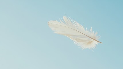 Obraz premium Floating Feather in Blue Sky