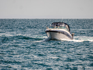  Blue Striped White Cruiser Wallowing In