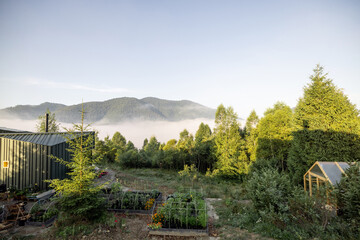 A peaceful morning view of a lush garden and greenhouse nestled in the misty mountains, capturing the tranquility and beauty of nature
