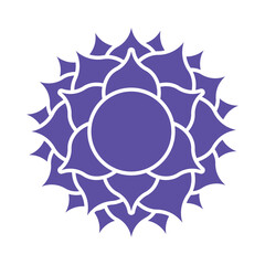 crown chakra sahasrara sign