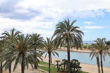 Blick in die Altstadt von Palma de Mallorca