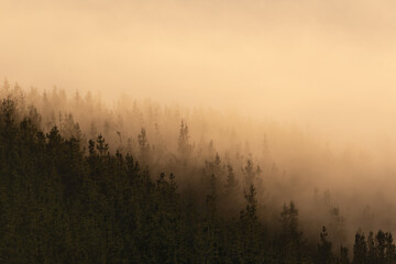 Fototapeta premium Aramaio valley under the clouds in the morning
