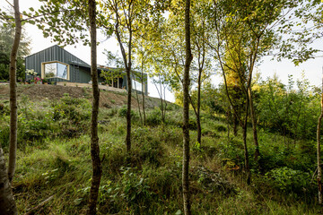 A modern house nestled at the edge of a dense forest, surrounded by lush greenery and tall trees, embodying a peaceful and secluded retreat in nature
