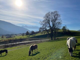 Wanderung Reit im Winkl - Deutschland