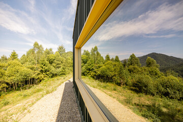 A peaceful view of the lush green forest reflected in the large window of a modern cabin, capturing...