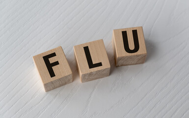 A wooden block with the letters Flu written on it